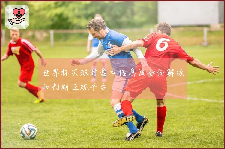 世界杯买球时盘口信息该如何解读和判断正规平台