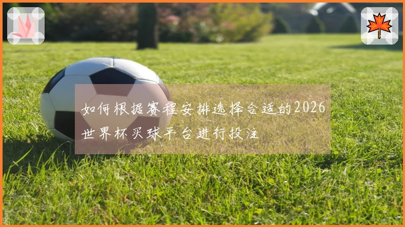 如何根据赛程安排选择合适的2026世界杯买球平台进行投注