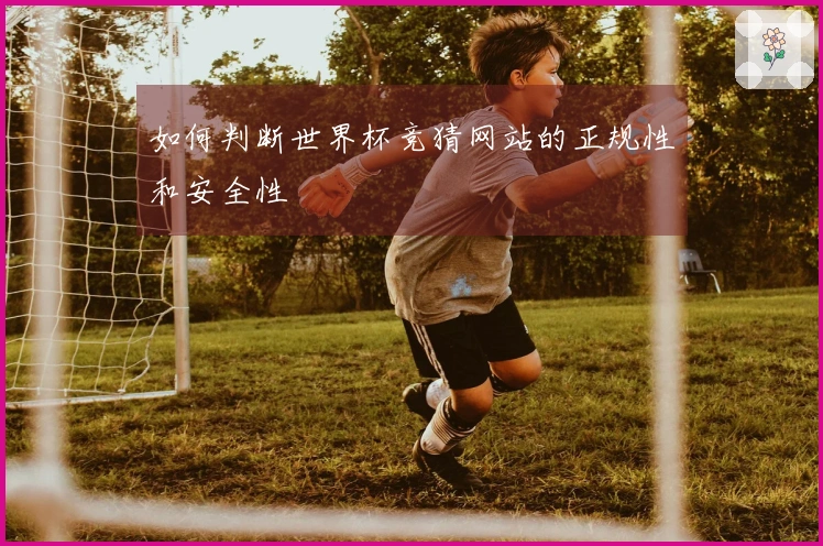 如何判断世界杯竞猜网站的正规性和安全性