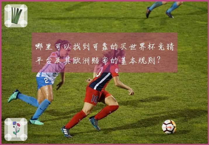 哪里可以找到可靠的买世界杯竞猜平台及其欧洲赔率的基本规则？