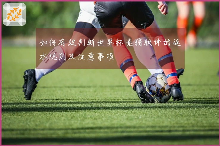 如何有效判断世界杯竞猜软件的返水规则及注意事项