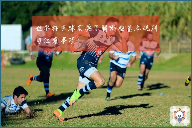 世界杯买球前要了解哪些基本规则与注意事项？