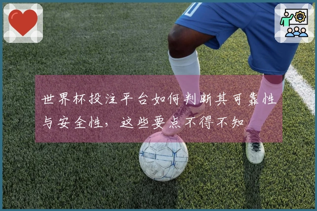 世界杯投注平台如何判断其可靠性与安全性，这些要点不得不知