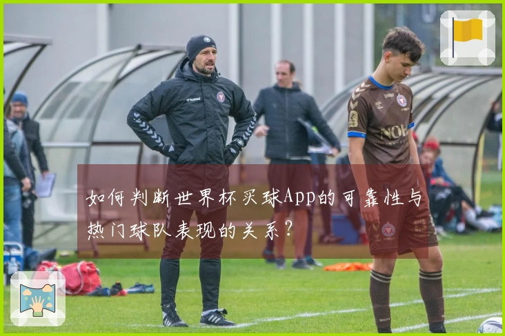 如何判断世界杯买球App的可靠性与热门球队表现的关系？