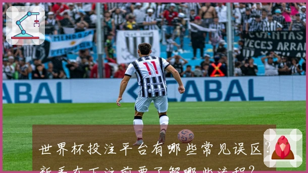 世界杯投注平台有哪些常见误区？新手在下注前要了解哪些流程？
