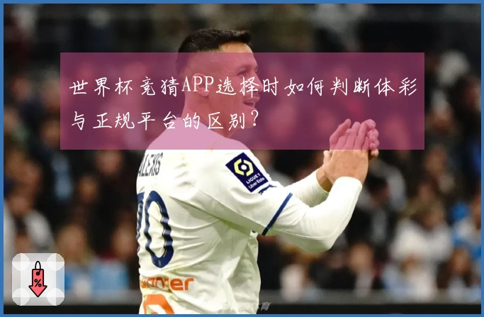 世界杯竞猜APP选择时如何判断体彩与正规平台的区别？