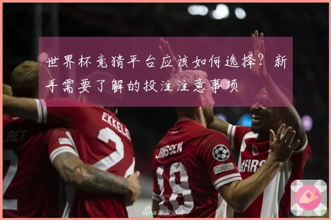 世界杯竞猜平台应该如何选择？新手需要了解的投注注意事项