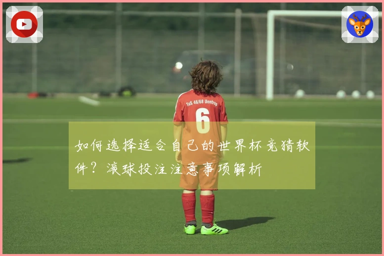 如何选择适合自己的世界杯竞猜软件？滚球投注注意事项解析