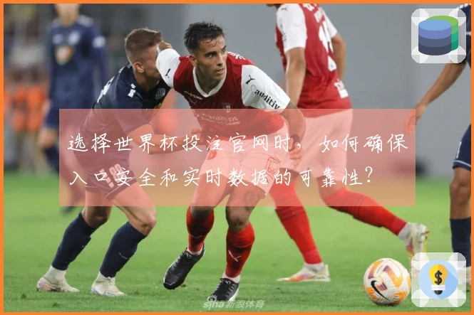选择世界杯投注官网时，如何确保入口安全和实时数据的可靠性？