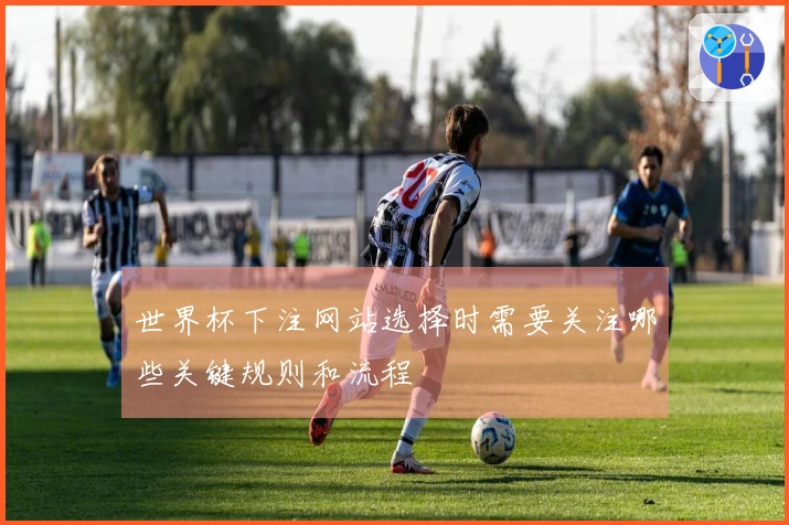 世界杯下注网站选择时需要关注哪些关键规则和流程