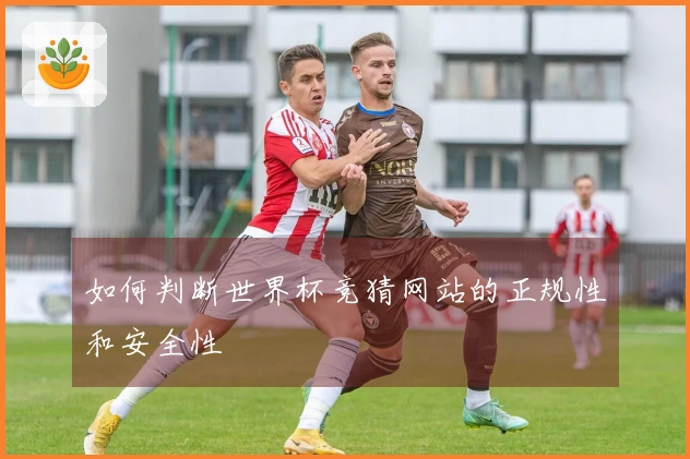 如何判断世界杯竞猜网站的正规性和安全性