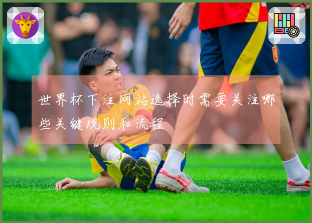 世界杯下注网站选择时需要关注哪些关键规则和流程