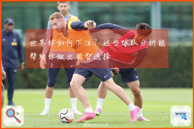 世界杯如何下注？这些球队分析能帮助你做出明智选择