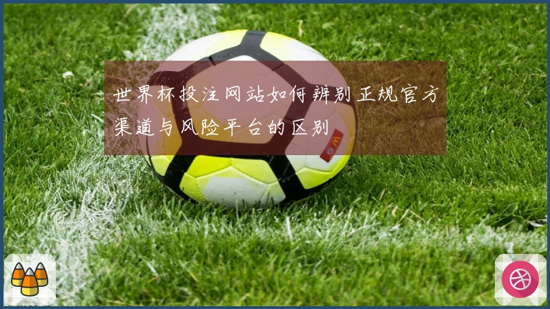 世界杯投注网站如何辨别正规官方渠道与风险平台的区别