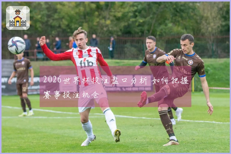 2026世界杯投注盘口分析 如何把握赛事投注机会