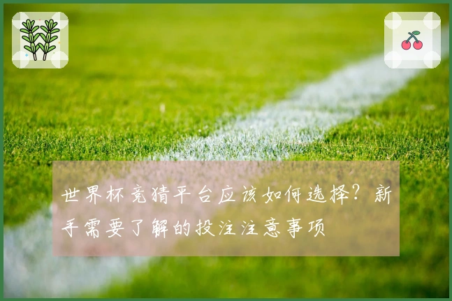 世界杯竞猜平台应该如何选择？新手需要了解的投注注意事项
