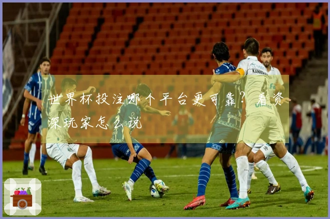 世界杯投注哪个平台更可靠？看资深玩家怎么说