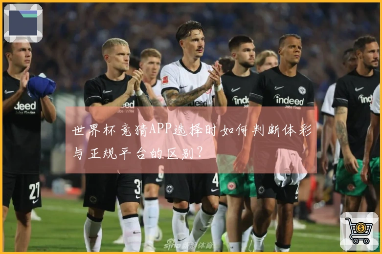世界杯竞猜APP选择时如何判断体彩与正规平台的区别？