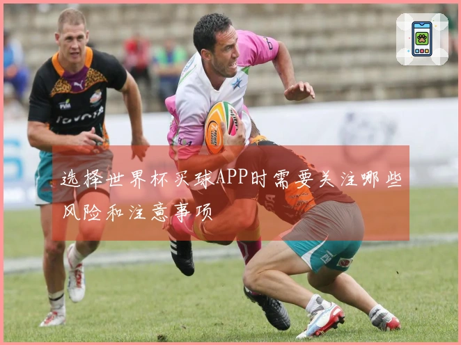 选择世界杯买球APP时需要关注哪些风险和注意事项