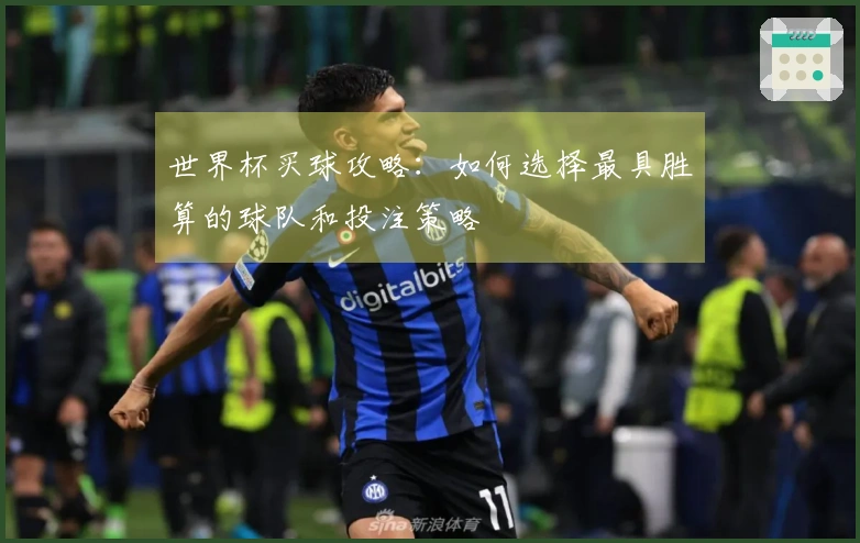世界杯买球攻略：如何选择最具胜算的球队和投注策略