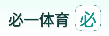 必一体育 Logo
