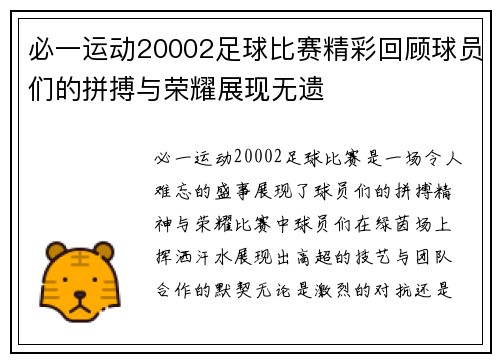 必一运动20002足球比赛精彩回顾球员们的拼搏与荣耀展现无遗